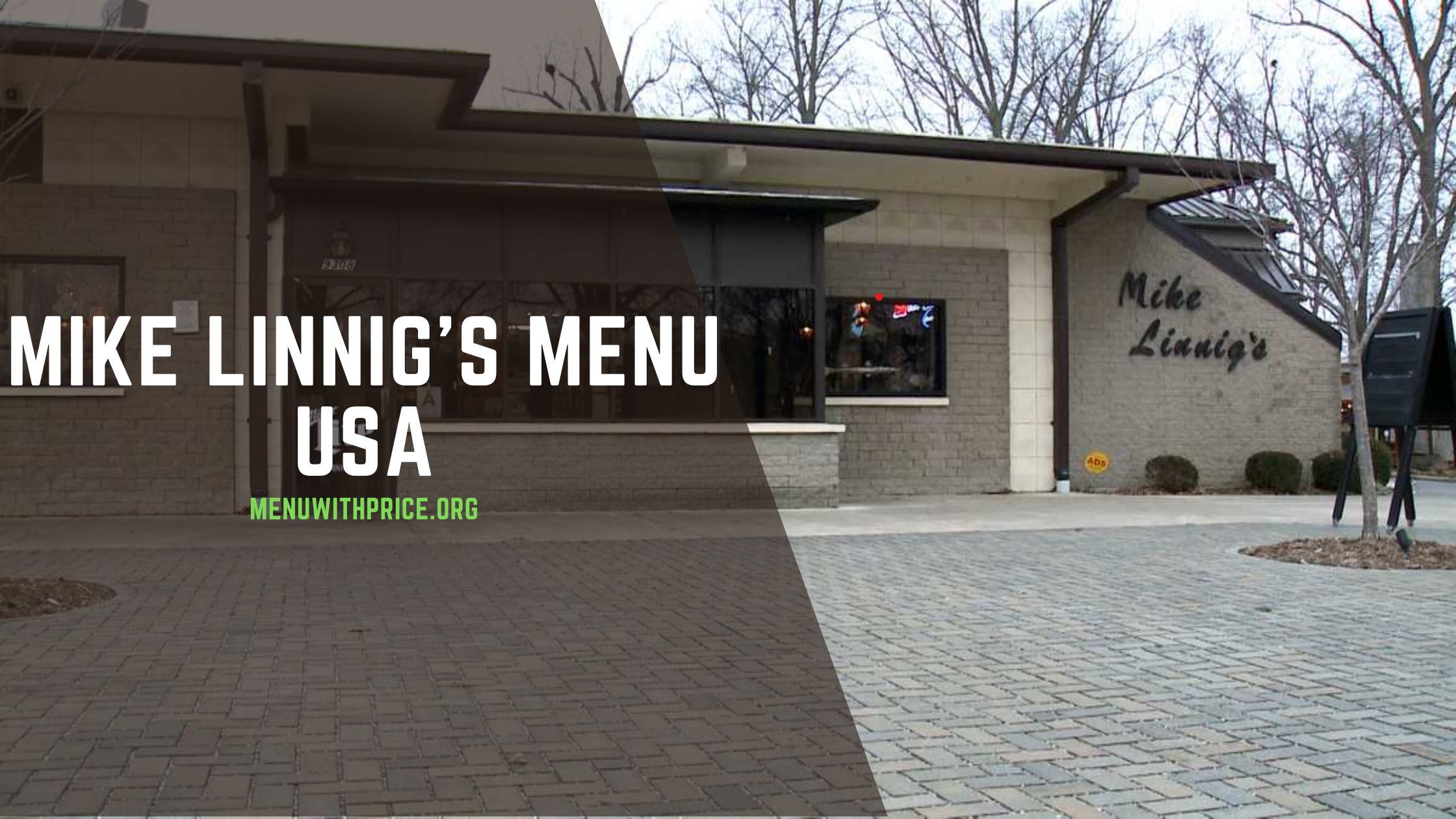 MIKE LINNIG'S MENU USA
